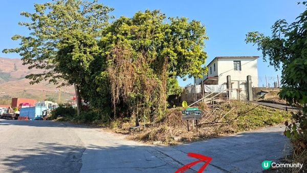 【元朗雞公嶺行山篇】錦田七星崗至橋頭