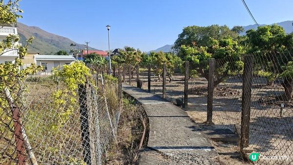 【元朗雞公嶺行山篇】錦田七星崗至橋頭