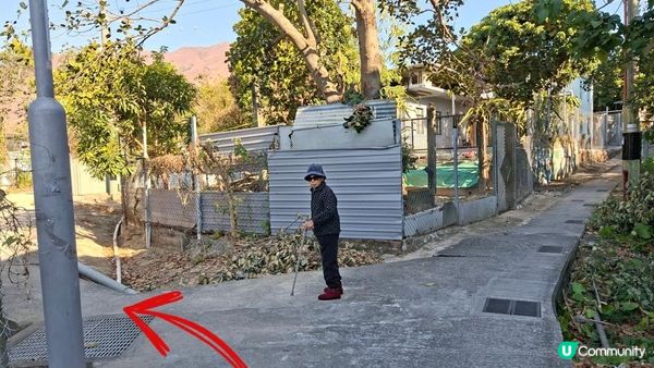 【元朗雞公嶺行山篇】錦田七星崗至橋頭