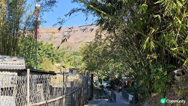 【元朗雞公嶺行山篇】錦田七星崗至橋頭