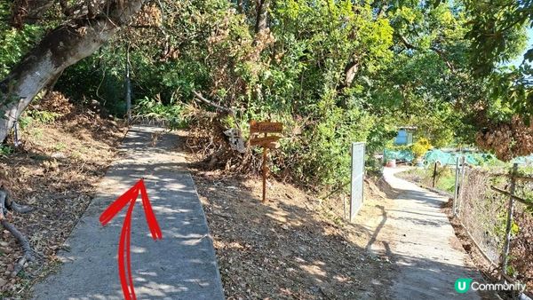 【元朗雞公嶺行山篇】錦田七星崗至橋頭