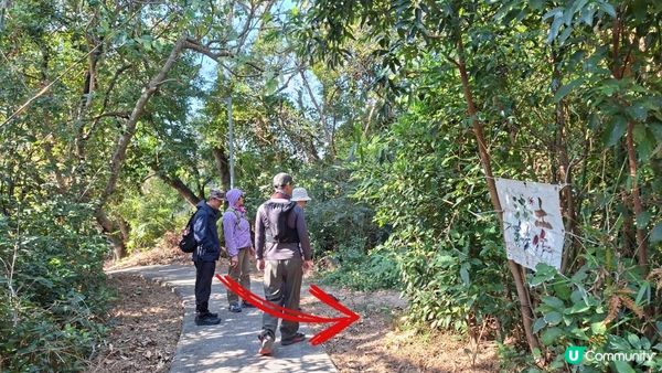 【元朗雞公嶺行山篇】錦田七星崗至橋頭