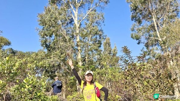 【元朗雞公嶺行山篇】錦田七星崗至橋頭