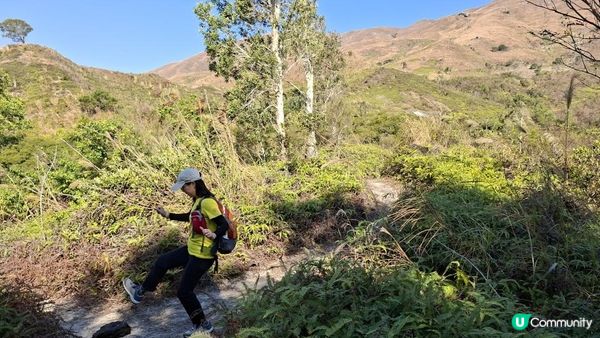 【元朗雞公嶺行山篇】錦田七星崗至橋頭