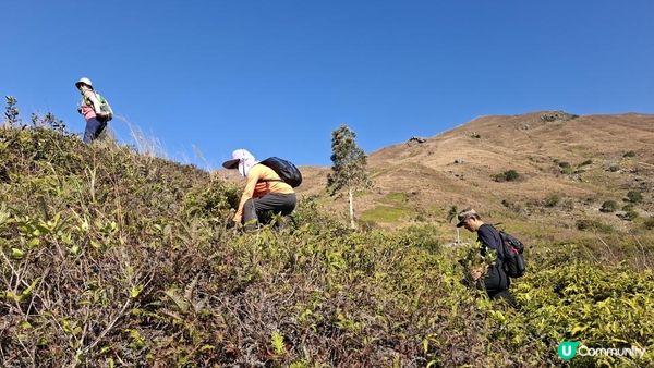 【元朗雞公嶺行山篇】錦田七星崗至橋頭