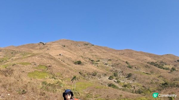 【元朗雞公嶺行山篇】錦田七星崗至橋頭