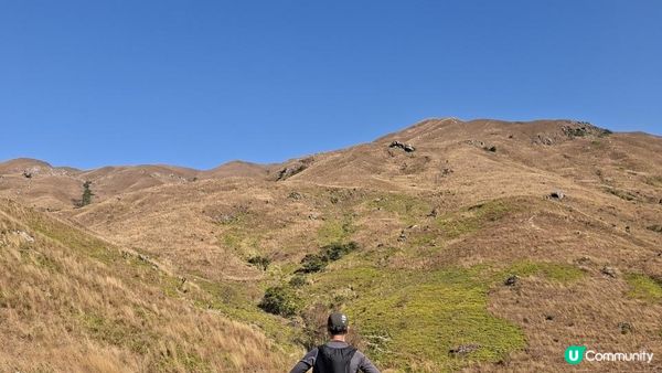 【元朗雞公嶺行山篇】錦田七星崗至橋頭