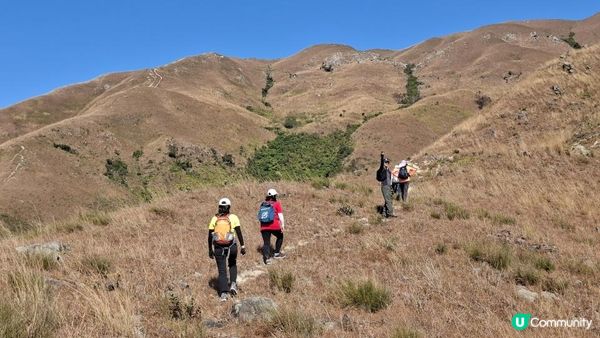 【元朗雞公嶺行山篇】錦田七星崗至橋頭