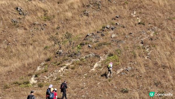 【元朗雞公嶺行山篇】錦田七星崗至橋頭