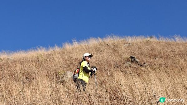【元朗雞公嶺行山篇】錦田七星崗至橋頭