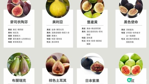 被譽為 #生命之果！活到120歲の水果🫐