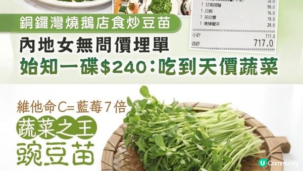 #豆苗炒六下 係真嘅！鎖住鮮甜爽脆🥬