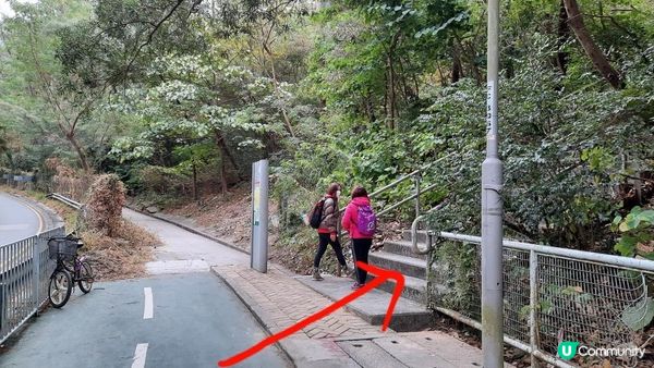 【東涌大嶼山行山篇】婆髻山、天書壁、蓮花山、爛頭營、大東山、禾寮墩