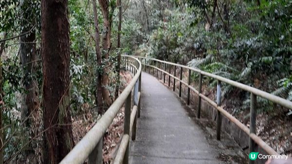 【東涌大嶼山行山篇】婆髻山、天書壁、蓮花山、爛頭營、大東山、禾寮墩