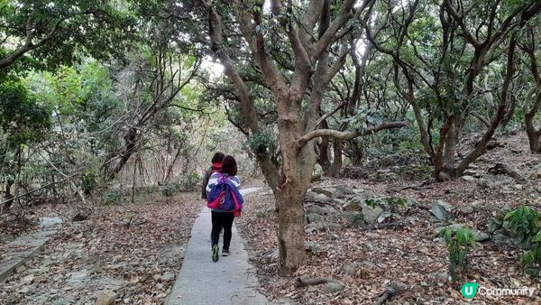 【東涌大嶼山行山篇】婆髻山、天書壁、蓮花山、爛頭營、大東山、禾寮墩