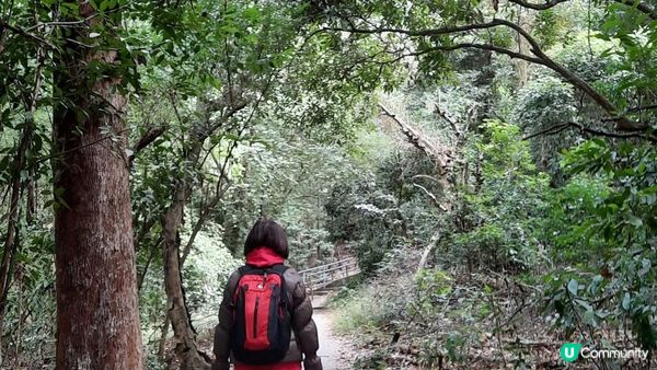 【東涌大嶼山行山篇】婆髻山、天書壁、蓮花山、爛頭營、大東山、禾寮墩