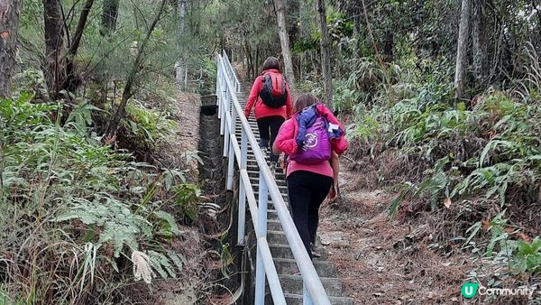 【東涌大嶼山行山篇】婆髻山、天書壁、蓮花山、爛頭營、大東山、禾寮墩