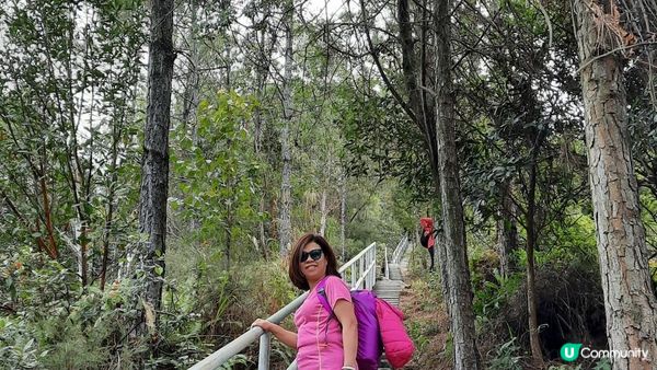 【東涌大嶼山行山篇】婆髻山、天書壁、蓮花山、爛頭營、大東山、禾寮墩