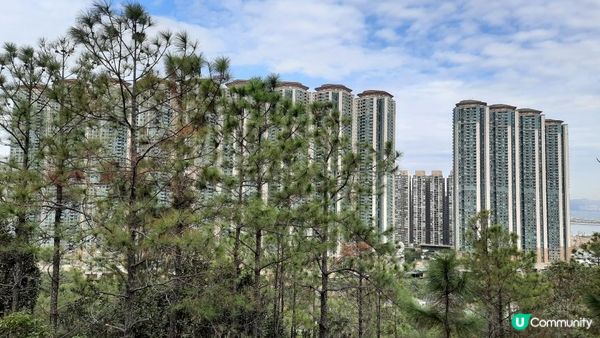 【東涌大嶼山行山篇】婆髻山、天書壁、蓮花山、爛頭營、大東山、禾寮墩