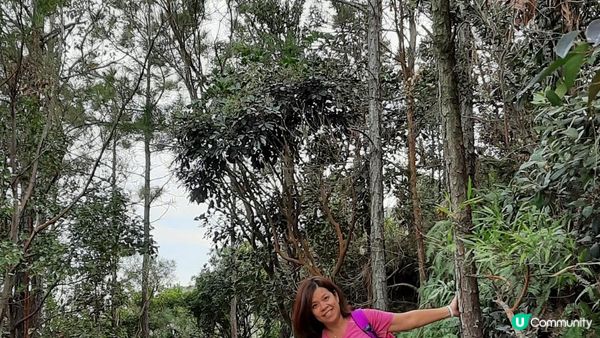 【東涌大嶼山行山篇】婆髻山、天書壁、蓮花山、爛頭營、大東山、禾寮墩