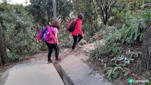 【東涌大嶼山行山篇】婆髻山、天書壁、蓮花山、爛頭營、大東山、禾寮墩
