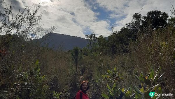 【東涌大嶼山行山篇】婆髻山、天書壁、蓮花山、爛頭營、大東山、禾寮墩