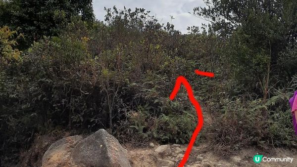 【東涌大嶼山行山篇】婆髻山、天書壁、蓮花山、爛頭營、大東山、禾寮墩