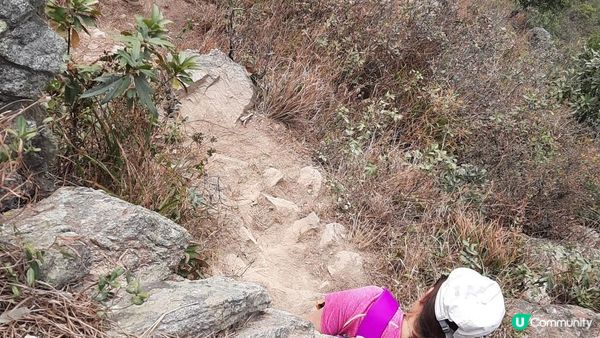 【東涌大嶼山行山篇】婆髻山、天書壁、蓮花山、爛頭營、大東山、禾寮墩