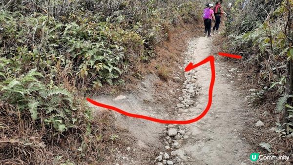 【東涌大嶼山行山篇】婆髻山、天書壁、蓮花山、爛頭營、大東山、禾寮墩