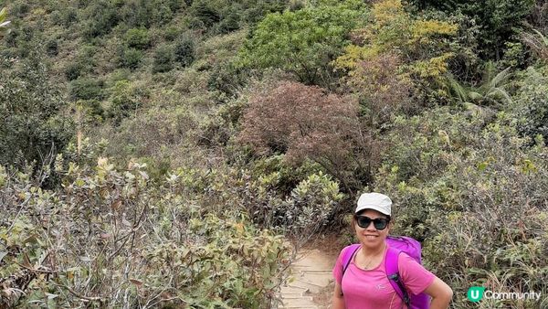 【東涌大嶼山行山篇】婆髻山、天書壁、蓮花山、爛頭營、大東山、禾寮墩