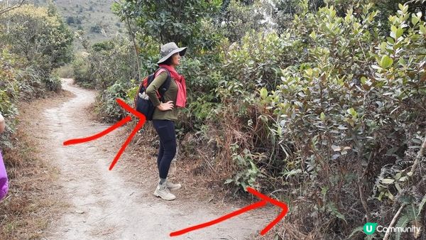 【東涌大嶼山行山篇】婆髻山、天書壁、蓮花山、爛頭營、大東山、禾寮墩