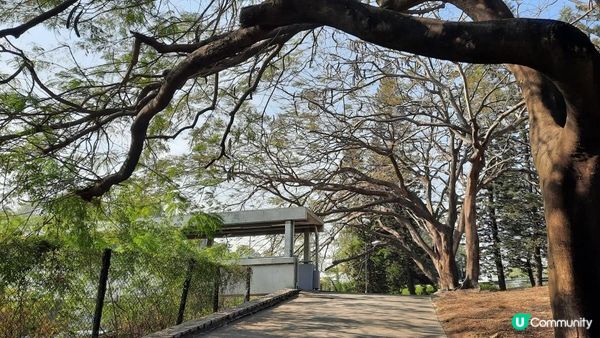 【新田至上水行山篇】麒麟山、古洞水塘、大水管