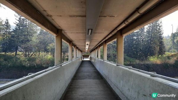 【新田至上水行山篇】麒麟山、古洞水塘、大水管