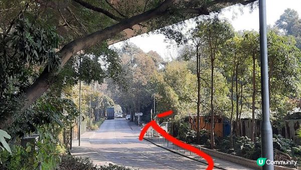 【新田至上水行山篇】麒麟山、古洞水塘、大水管