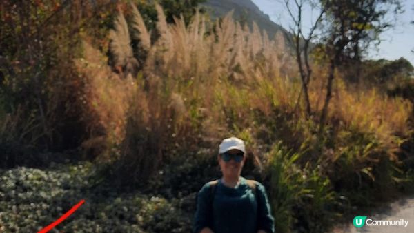 【新田至上水行山篇】麒麟山、古洞水塘、大水管