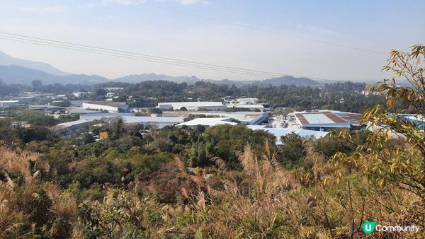 【新田至上水行山篇】麒麟山、古洞水塘、大水管