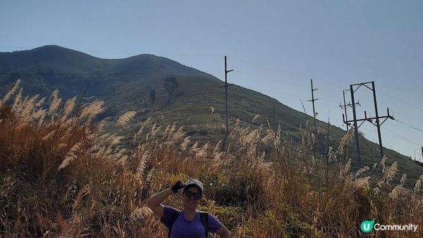 【新田至上水行山篇】麒麟山、古洞水塘、大水管