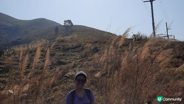 【新田至上水行山篇】麒麟山、古洞水塘、大水管