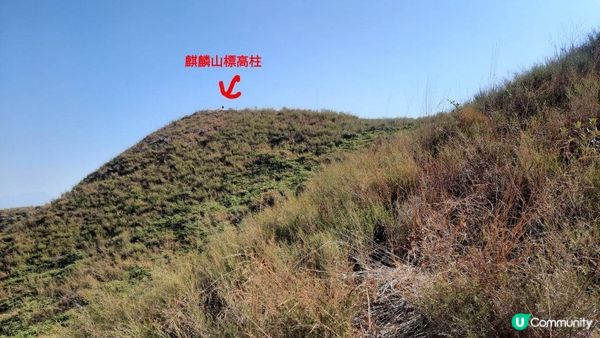 【新田至上水行山篇】麒麟山、古洞水塘、大水管