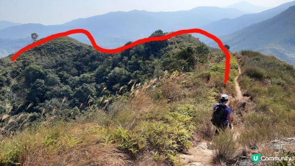 【新田至上水行山篇】麒麟山、古洞水塘、大水管