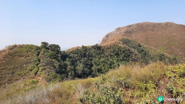 【新田至上水行山篇】麒麟山、古洞水塘、大水管