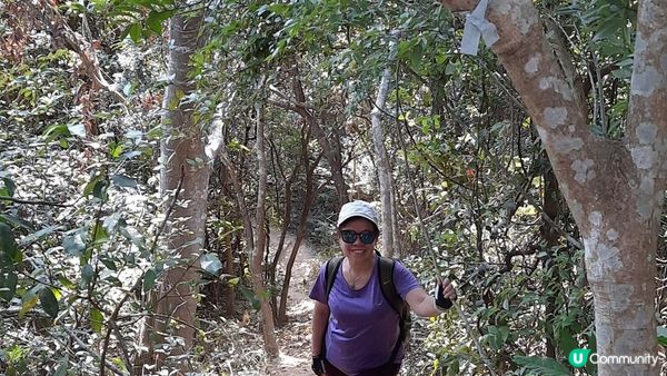 【新田至上水行山篇】麒麟山、古洞水塘、大水管