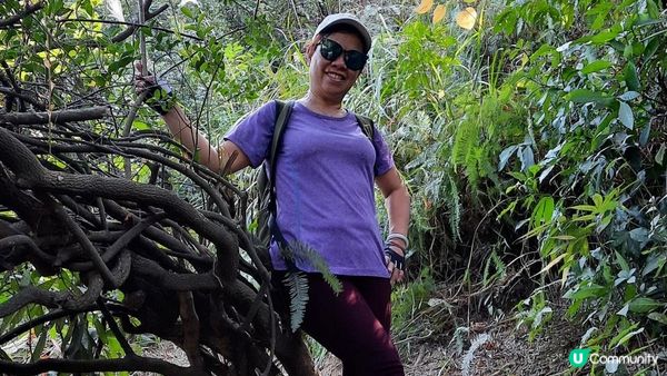 【新田至上水行山篇】麒麟山、古洞水塘、大水管