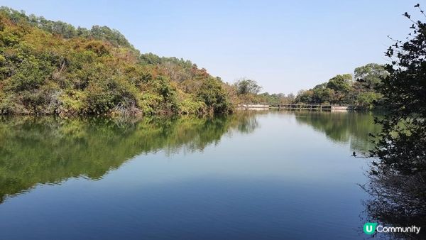 【新田至上水行山篇】麒麟山、古洞水塘、大水管
