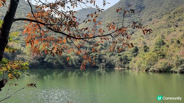 【新田至上水行山篇】麒麟山、古洞水塘、大水管