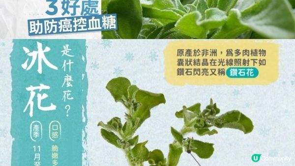 #自帶光環💎 蔬菜界「LV」