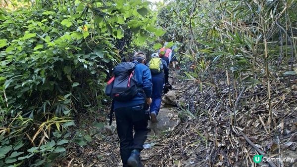 【鶴咀道至石澳行山篇】鶴咀山、石澳情人橋、大頭洲