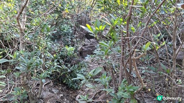 【鶴咀道至石澳行山篇】鶴咀山、石澳情人橋、大頭洲