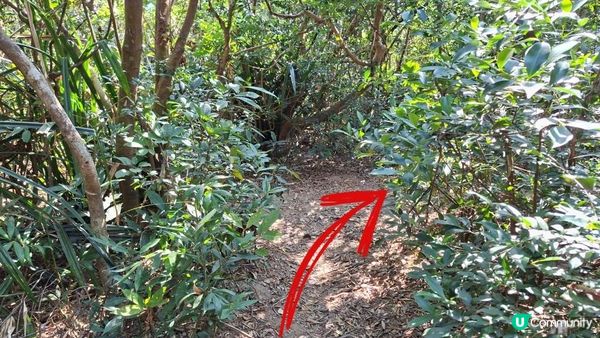 【鶴咀道至石澳行山篇】鶴咀山、石澳情人橋、大頭洲