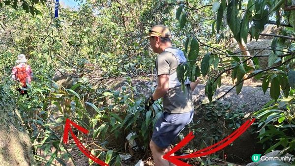 【鶴咀道至石澳行山篇】鶴咀山、石澳情人橋、大頭洲